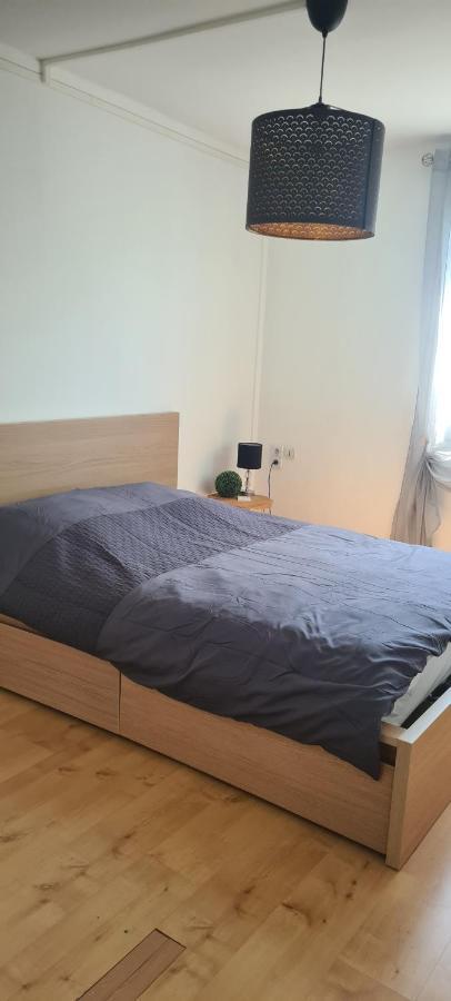 Superbe Appartement En Residence Avec Parc Orléans Buitenkant foto